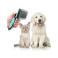 Pet Brush